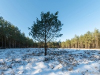 20210213 0155 : Achel Trappistenwandeling 2021