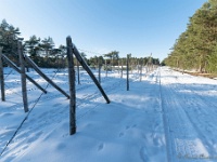 20210213 0159 : Achel Trappistenwandeling 2021