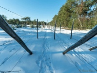 20210213 0160 : Achel Trappistenwandeling 2021