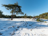 20210213 0161 : Achel Trappistenwandeling 2021