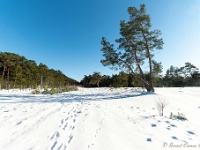 20210213 0165 : Achel Trappistenwandeling 2021