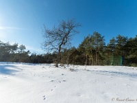 20210213 0169 : Achel Trappistenwandeling 2021