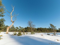 20210213 0179 : Achel Trappistenwandeling 2021