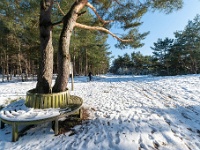 20210213 0183 : Achel Trappistenwandeling 2021