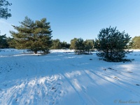 20210213 0191 : Achel Trappistenwandeling 2021