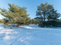 20210213 0192 : Achel Trappistenwandeling 2021