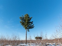 20210213 0208 : Achel Trappistenwandeling 2021
