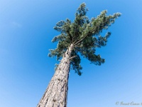 20210213 0213 : Achel Trappistenwandeling 2021