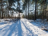 20210213 0220 : Achel Trappistenwandeling 2021
