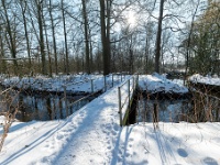 20210211 0017 : Beverbeek Tomp wandeling 2021