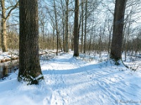 20210211 0019 : Beverbeek Tomp wandeling 2021