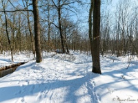 20210211 0021 : Beverbeek Tomp wandeling 2021