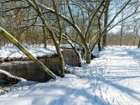 20210211 0025 : Beverbeek Tomp wandeling 2021