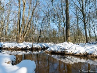 20210211 0033 : Beverbeek Tomp wandeling 2021