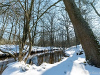 20210211 0037 : Beverbeek Tomp wandeling 2021