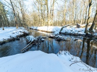 20210211 0043 : Beverbeek Tomp wandeling 2021