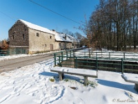 20210211 0054 : Beverbeek Tomp wandeling 2021