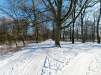 20210211 0062 : Beverbeek Tomp wandeling 2021