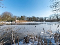 20210211 0063 : Beverbeek Tomp wandeling 2021