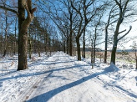 20210211 0073 : Beverbeek Tomp wandeling 2021