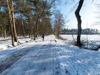 20210211 0075 : Beverbeek Tomp wandeling 2021