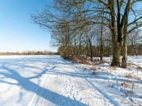 20210211 0077 : Beverbeek Tomp wandeling 2021