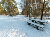 20210211 0103 : Beverbeek Tomp wandeling 2021