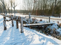 20210211 0111 : Beverbeek Tomp wandeling 2021