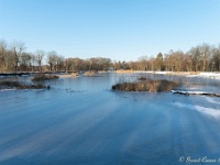 20210211 0113 : Beverbeek Tomp wandeling 2021