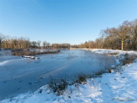 20210211 0118 : Beverbeek Tomp wandeling 2021