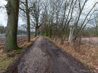 20210121 0014 Verkensbos : Chimay Trappisten wandelroute 2021, Verkensbos