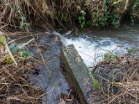 20210121 0038  Bevloeing : Chimay Trappisten wandelroute 2021, Congo, Het Lo