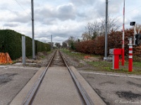 20210121 0072  De Ijzeren Rijn : Chimay Trappisten wandelroute 2021, Hamont centrum