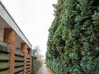 20210121 0073  Sleutjes : Chimay Trappisten wandelroute 2021, Hamont centrum