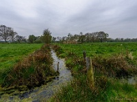 20170421 0021 : Achterhoek