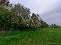 20170421 0024 : Achterhoek