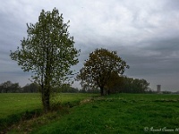 20170421 0026 : Achterhoek