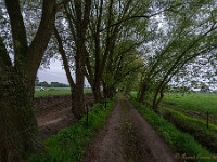 20170421 0039 : Achterhoek