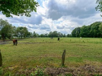 20170609 0034-HDR : Belgie, Hamont-Achel, Plaatsen, Winter