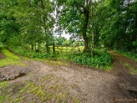 20170609 0041 : Verkensbos