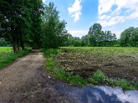 20170609 0043 : Verkensbos