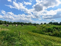 20170609 0055-HDR : Achterhoek, Belgie, Hamont-Achel, Plaatsen