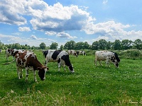 Een wandeling door de Achterhoek 2017