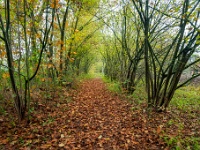 20211114 0005 : De Eilandjes, Hamont-Achel, Belgie, Plaatsen