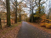 20211114 0067 : De Eilandjes, Hamont-Achel, Belgie, Plaatsen