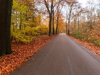 20211114 0070 : De Eilandjes, Hamont-Achel, Belgie, Plaatsen