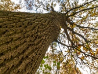 20211114 0074 : De Eilandjes, Hamont-Achel, Belgie, Plaatsen