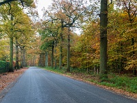 20211114 0093 : De Eilandjes, Hamont-Achel, Belgie, Plaatsen