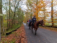 20211114 0095 : De Eilandjes, Hamont-Achel, Belgie, Plaatsen