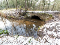 20210124 0079  Prinsenloop : Engelszell Trappisten wandelroute 2021, Wandelingen, Witteberg